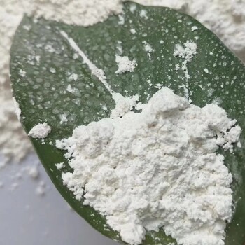 上海微生物蛋白粉多少錢