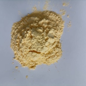 山西微生物蛋白粉生产过程