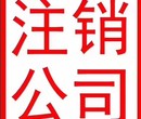 广西防城区高效代理注销公司图片