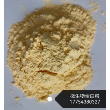 广东白色微生物蛋白粉多少钱