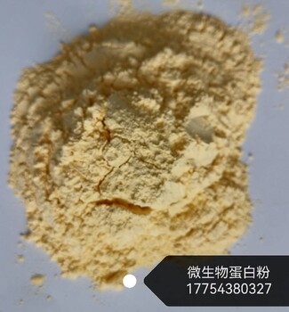 江苏微生物蛋白粉供应商微生物蛋白粉饲料添加剂