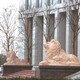 石雕動物批發(fā)石雕大象圖
