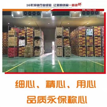 上海到北京延慶區(qū)冷藏貨運(yùn)服務(wù)至上