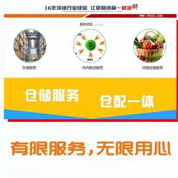 上海到北京通州區(qū)冷鏈專線服務周到