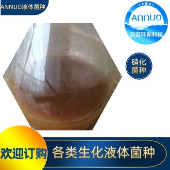 水解酸化菌120億增加污泥緊實度降解有害指標(biāo)
