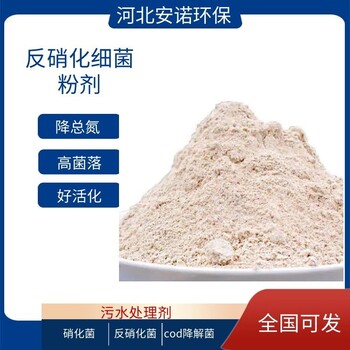 水解酸化菌120億增加污泥緊實度降解有害指標(biāo)