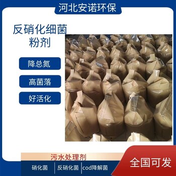 氨氮降解菌種增加污泥緊實度多復(fù)合菌劑性能更全面
