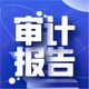 郫縣公司審計(jì)報(bào)告圖