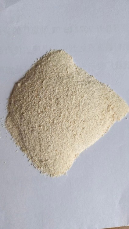 新疆大米蛋白粉生产过程