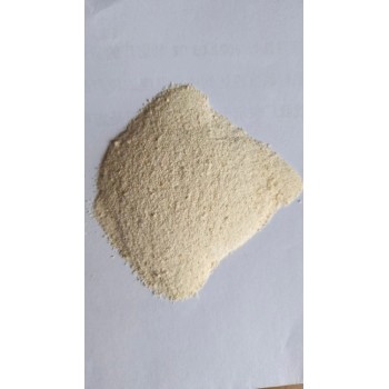 内蒙古大米蛋白粉生产厂家