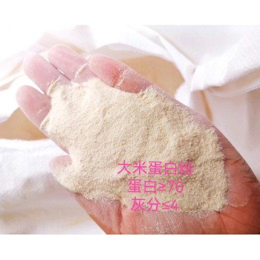 上海大米蛋白粉供应商大米蛋白粉饲料添加剂