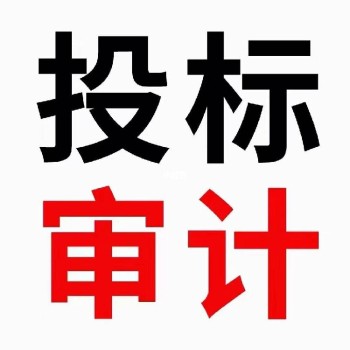 都江堰会计事务所公司审计报告贴心服务审计报告章