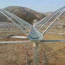 黑龍江雙拱雙膜薄膜連棟溫室搭建薄膜連棟溫室大棚圖片