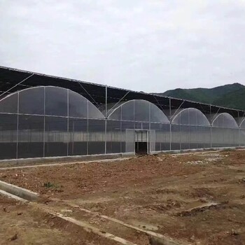 青海簡易薄膜連棟溫室搭建薄膜連棟溫室大棚