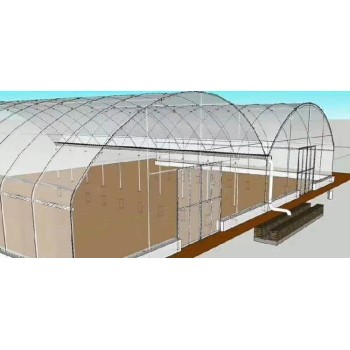 云南外遮阳薄膜连栋温室搭建薄膜连栋温室大棚