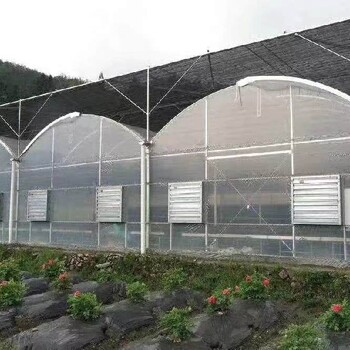 黑龍江薄膜連棟溫室搭建薄膜溫室