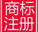 登尼特集团广州申请美国商标申请费用图片