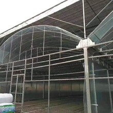 四川簡易薄膜連棟溫室多少錢連棟薄膜溫室圖片