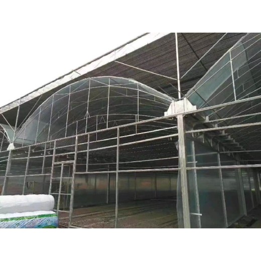 上海薄膜连栋温室厂家联系方式薄膜温室