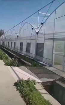 浙江薄膜連棟溫室多少錢薄膜連棟溫室大棚