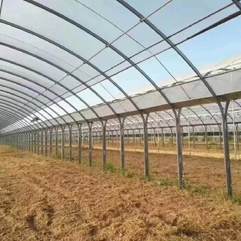 黑龍江薄膜連棟溫室廠家電話薄膜連棟溫室大棚