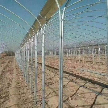 吉林外遮陽薄膜連棟溫室搭建薄膜連棟溫室大棚