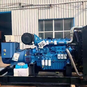 南匯發(fā)電機(jī)出租-免運(yùn)費(fèi)帶工人