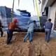 海陽市發電機出租-定制化發電機出租方案產品圖