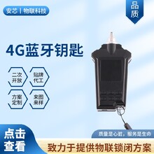 广东潮州4G钥匙电量显示图片