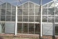 黑龙江简易玻璃温室多少钱玻璃连栋温室