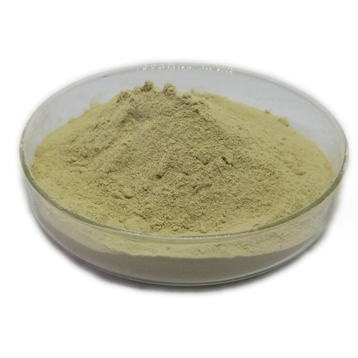 江蘇絞股藍提取物聯(lián)系方式
