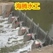 克孜勒蘇鑄鐵閘門,泄洪閘鑄鐵閘門廠家
