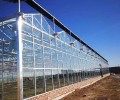 四川玻璃温室厂家玻璃连栋温室