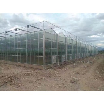 安徽玻璃温室搭建玻璃连栋温室