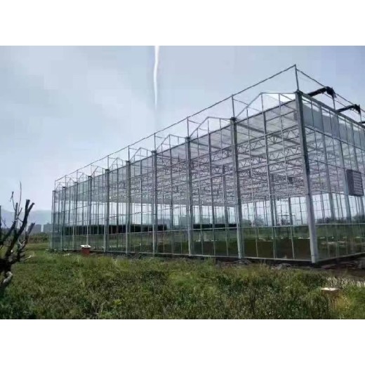云南简易玻璃温室搭建玻璃连栋温室