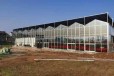 浙江智能玻璃温室承接厂家玻璃连栋温室