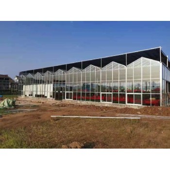 新疆简易玻璃温室售价玻璃连栋温室
