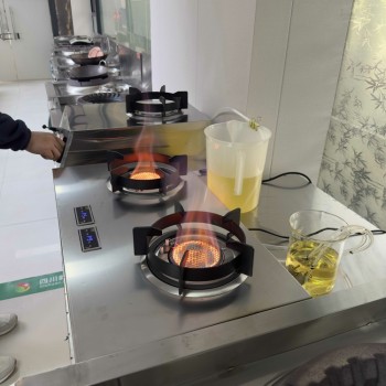 沧州厨房植物油燃料加盟创业