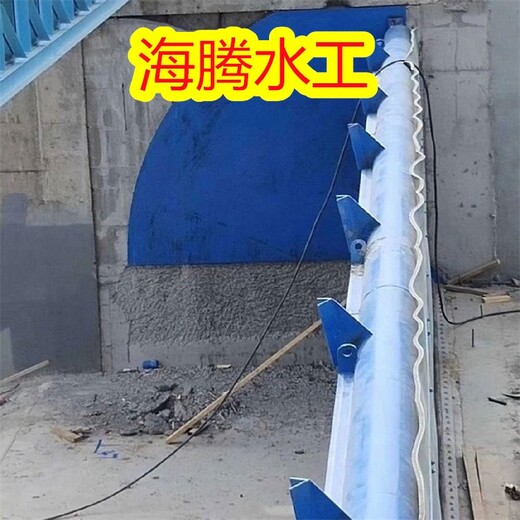 沙坪壩供應(yīng)翻板閘門(mén),景觀鋼壩閘,鋼壩閘門(mén)廠(chǎng)家