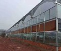 新疆智能玻璃温室维修