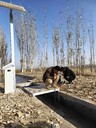 黑龍江農渠智慧農田建設一體化閘門(mén)