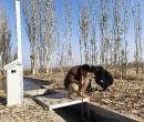 东北地区田间节水灌溉灌区测量水专用智能测控一体化闸门图片