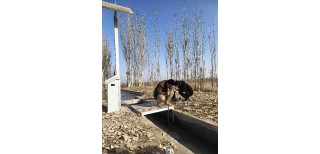黑龙江灌区高标准农田建设测控一体化闸门图片5