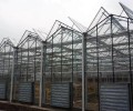 山西玻璃温室生产厂家玻璃连栋温室