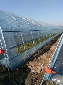 內(nèi)蒙古簡易溫室大棚搭建簡易大棚