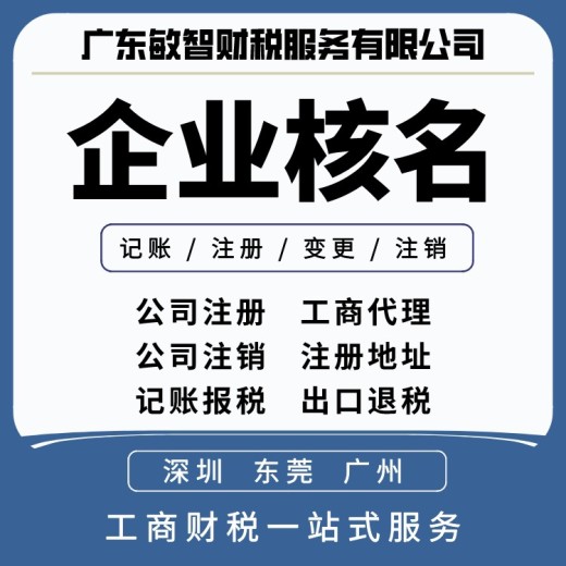 深圳龙华营业执照办理企业服务,一般纳税人,代理代办
