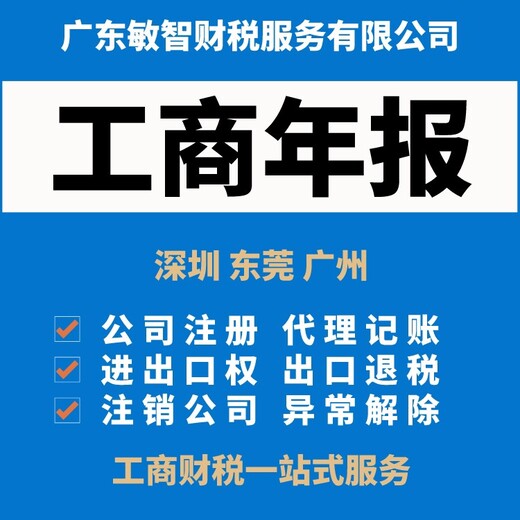 广州增城做账报税代理企业服务,会计代理服务