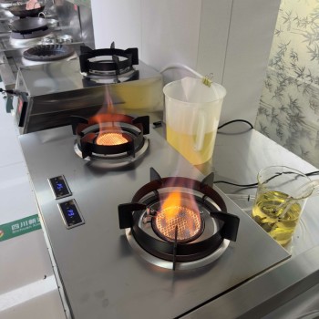 渭南厨房植物油燃料新能源项目