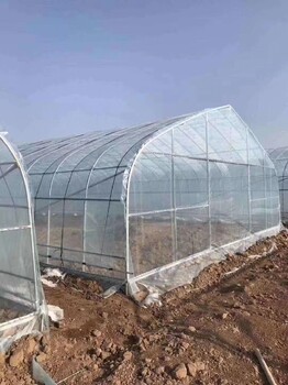 河南簡易溫室大棚效果圖鋼管溫室大棚