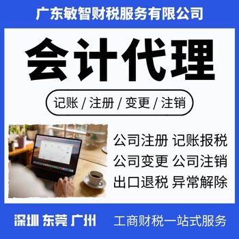 深圳盐田营业执照办理企业服务,业务办理,财务代理记账